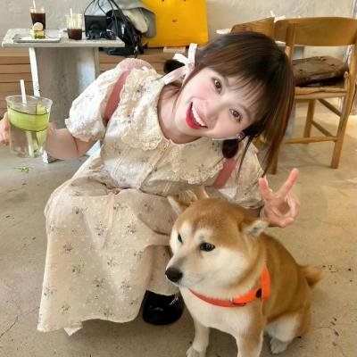 阴阳画皮